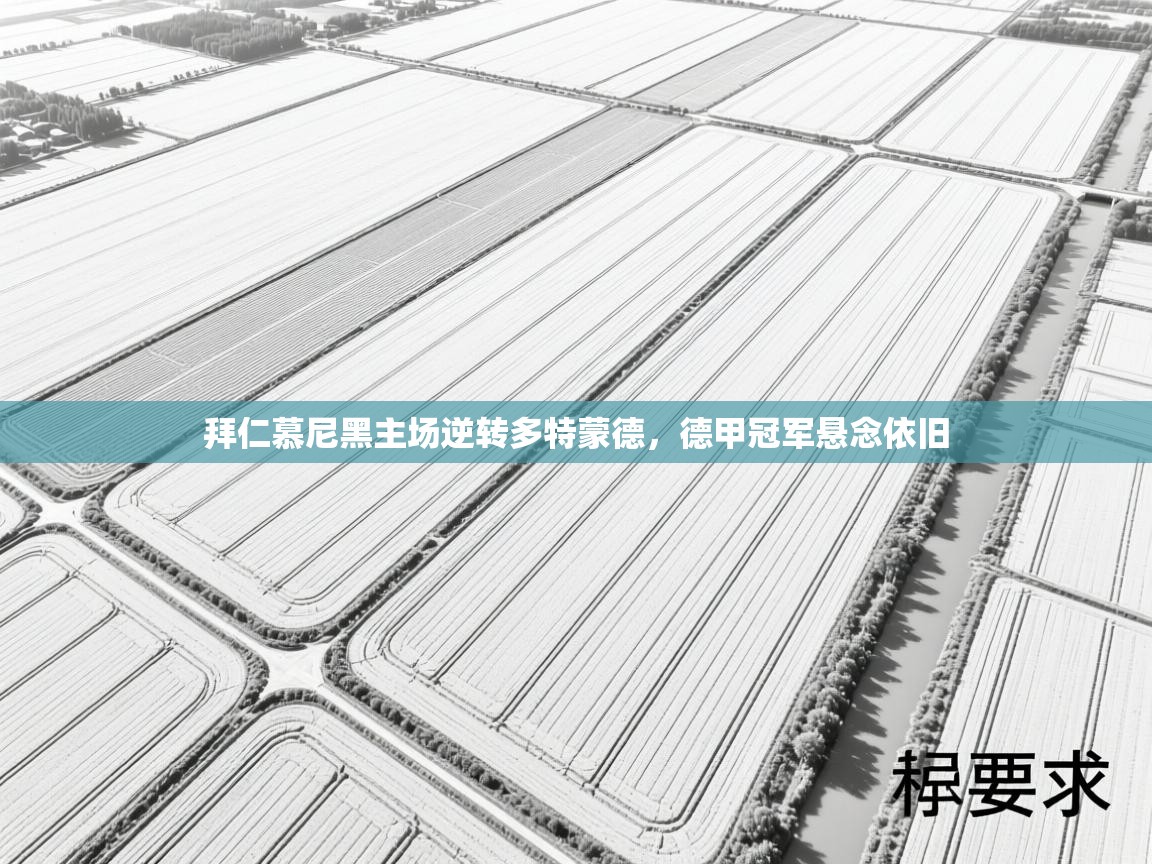 拜仁慕尼黑主场逆转多特蒙德,德甲冠军悬念依旧 第1张