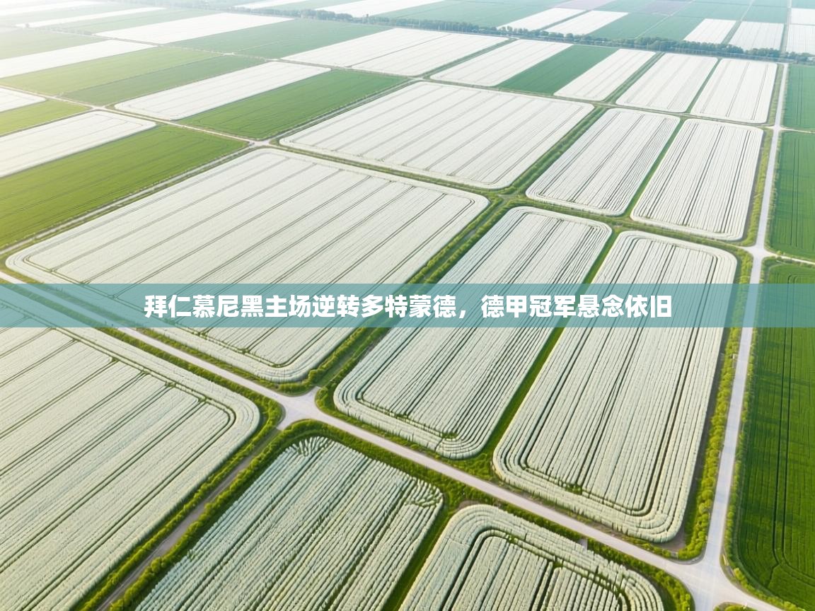 拜仁慕尼黑主场逆转多特蒙德,德甲冠军悬念依旧 第2张