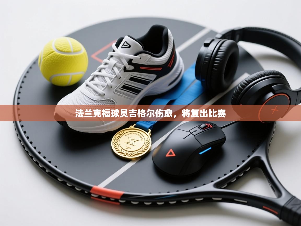 法兰克福球员吉格尔伤愈，将复出比赛  第1张