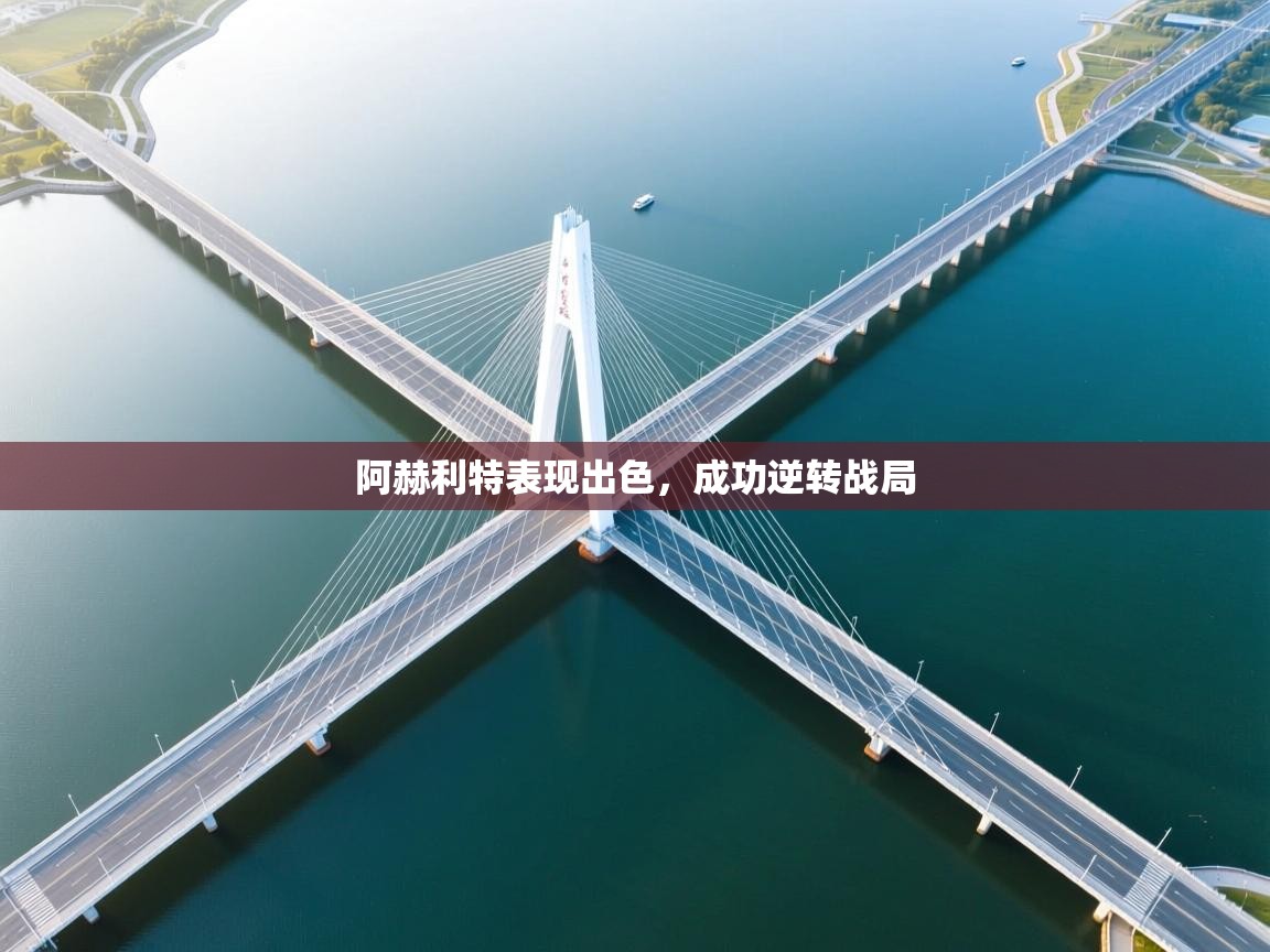 阿赫利特表现出色，成功逆转战局  第1张