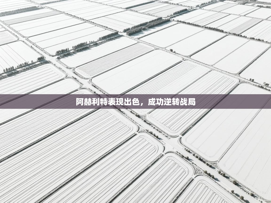 阿赫利特表现出色，成功逆转战局  第2张