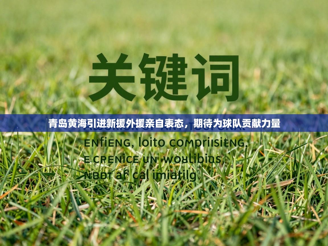 青岛黄海引进新援外援亲自表态，期待为球队贡献力量  第2张