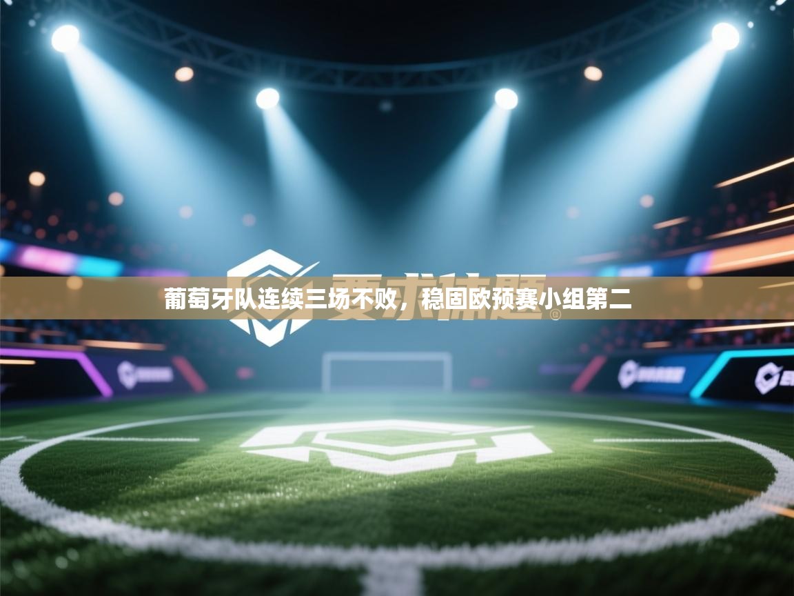 葡萄牙队连续三场不败，稳固欧预赛小组第二  第1张