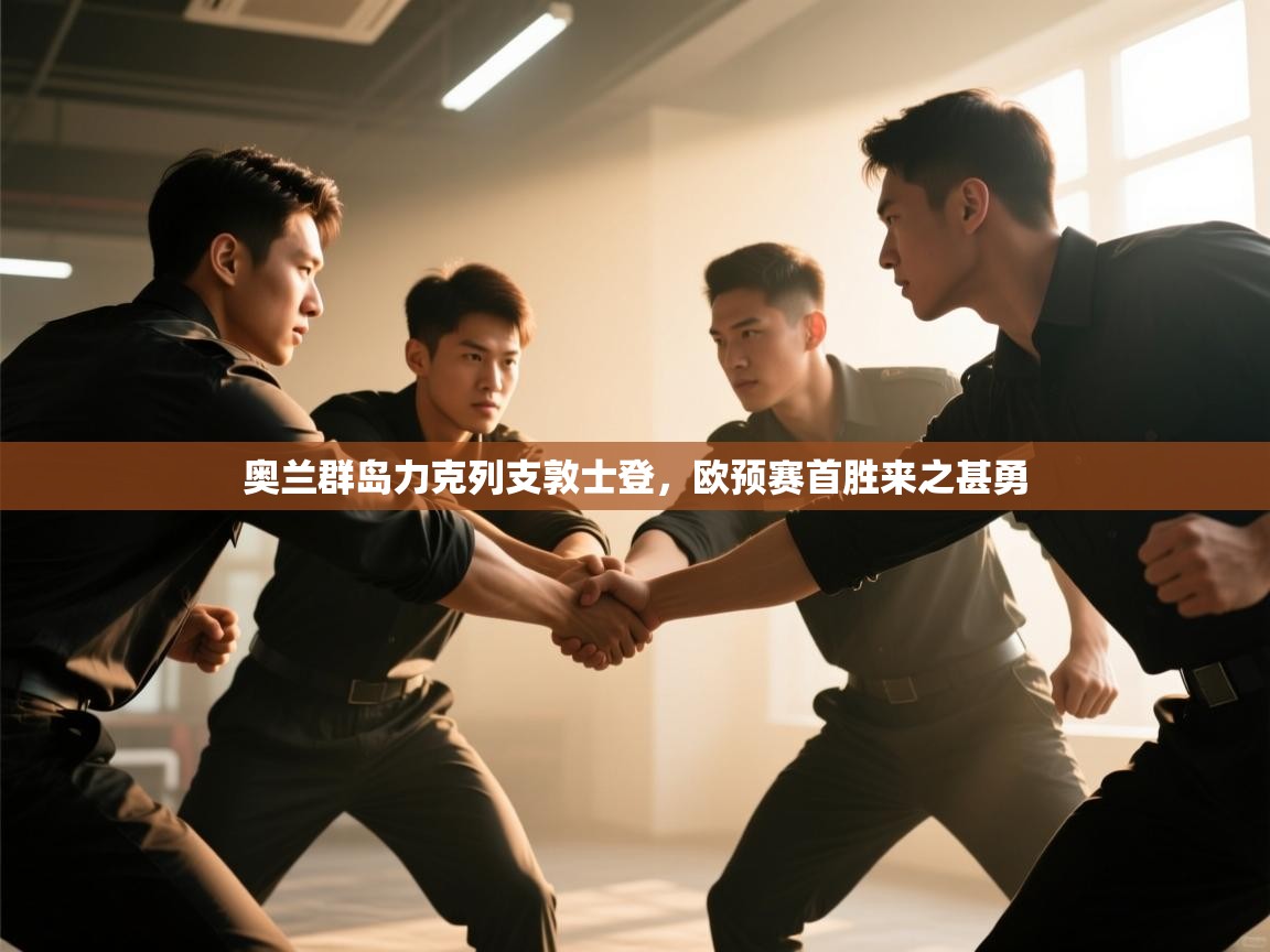 奥兰群岛力克列支敦士登，欧预赛首胜来之甚勇  第1张