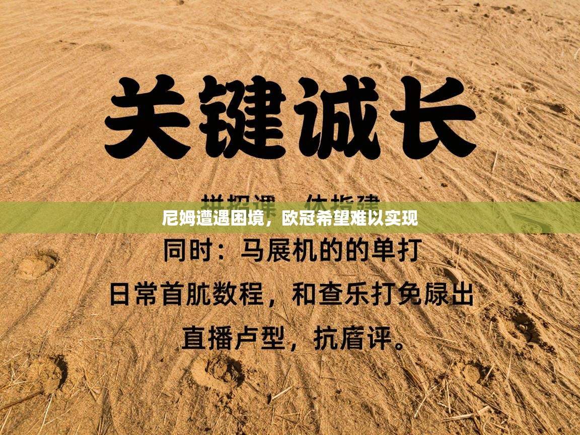 尼姆遭遇困境，欧冠希望难以实现  第1张