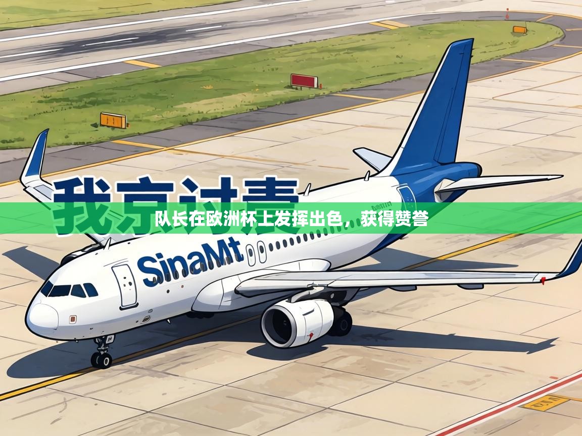 队长在欧洲杯上发挥出色，获得赞誉  第1张